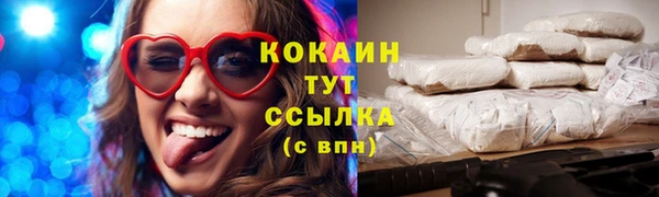 стафф Богданович