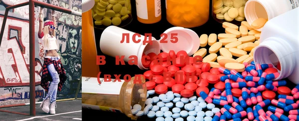 стафф Богданович
