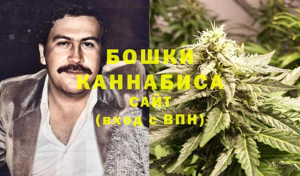амф Белокуриха