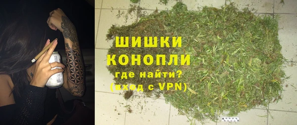 mdpv Богородск