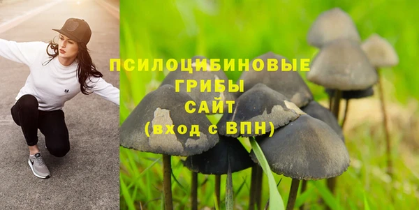 стафф Богданович