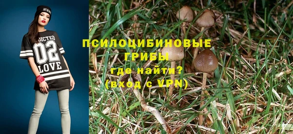 стафф Богданович
