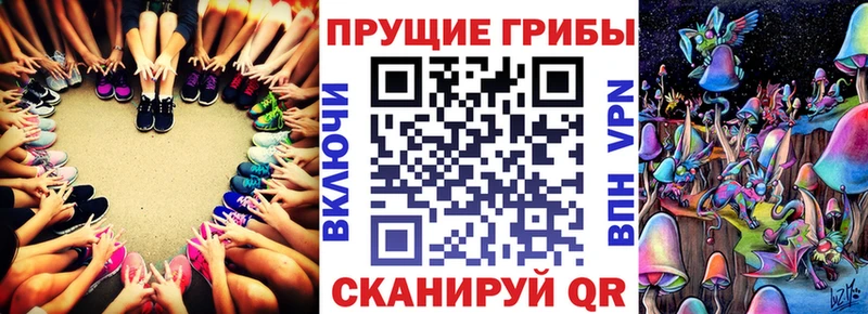 Купить закладки  Полесск  Галлюциногенные грибы мицелий 